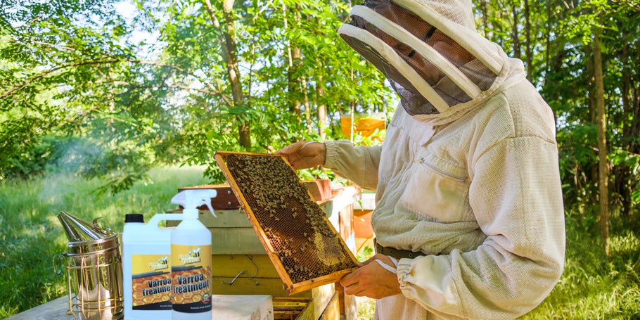 Varroa mites: a threat to bees, solutions for beekeepers